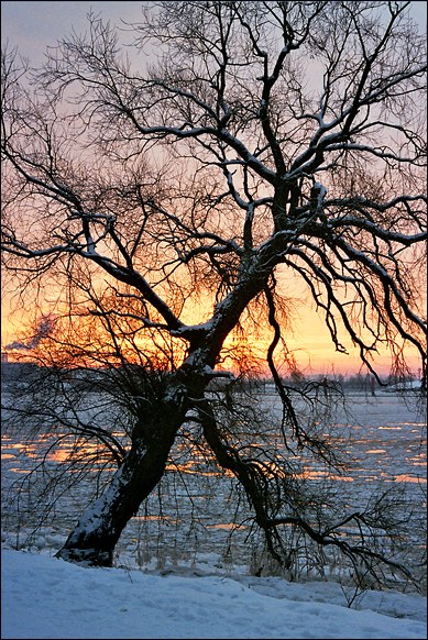 An der Elbe...