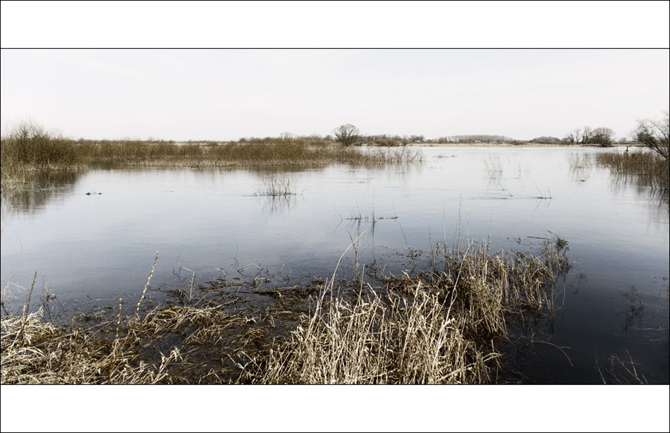 An der Elbe