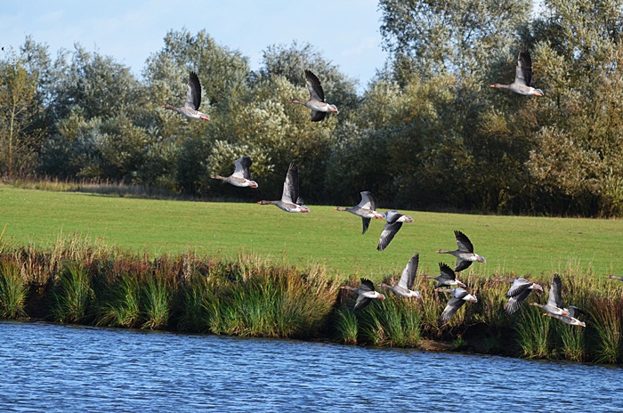 An der Elbe ...