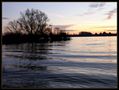 An der Elbe von Helmut Tamm