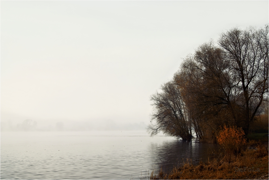 An der Elbe (7)