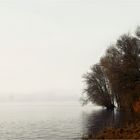 An der Elbe (7)