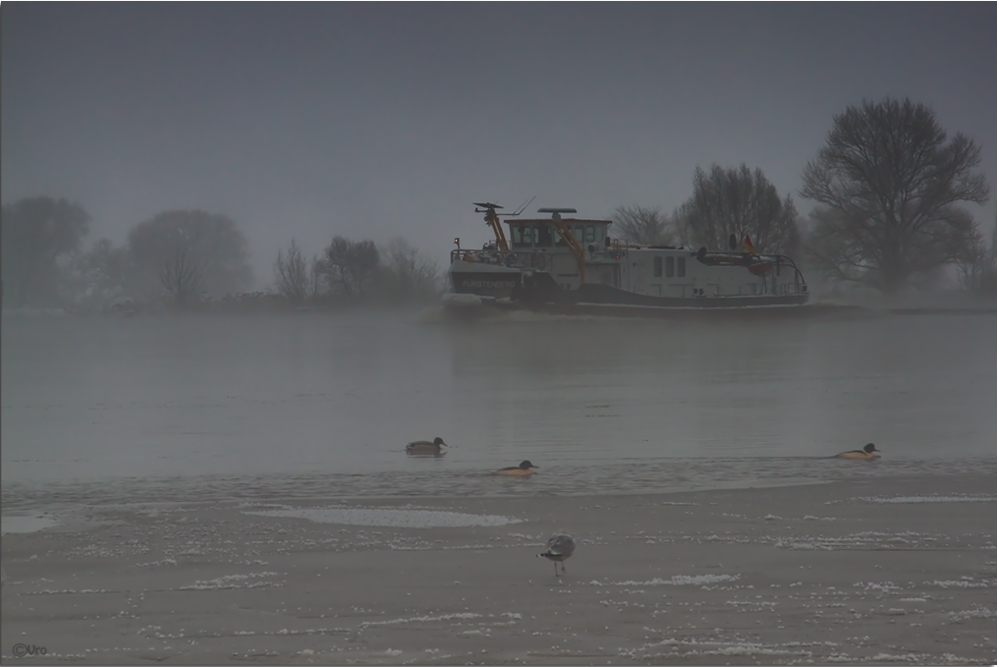 an der Elbe