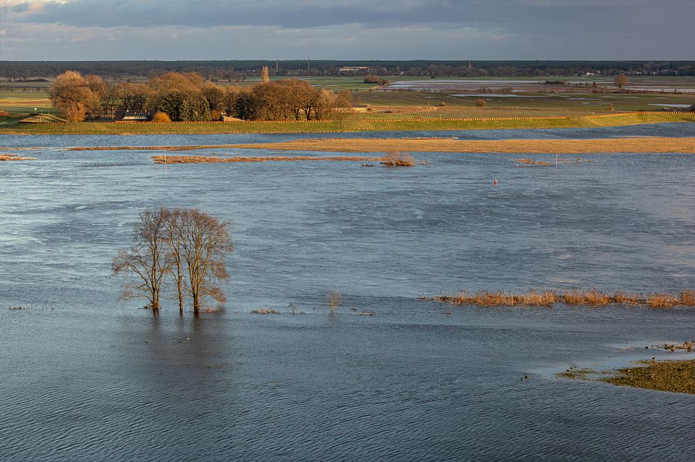 an der Elbe