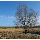 An der Elbe