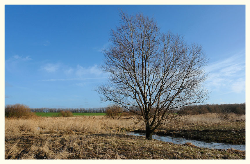 An der Elbe