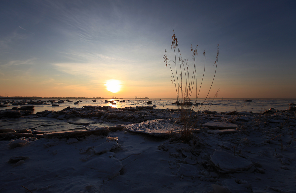 an der Elbe