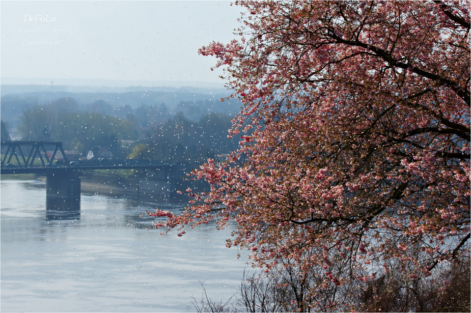 An der Elbe (9)