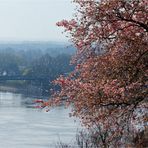 An der Elbe (9)