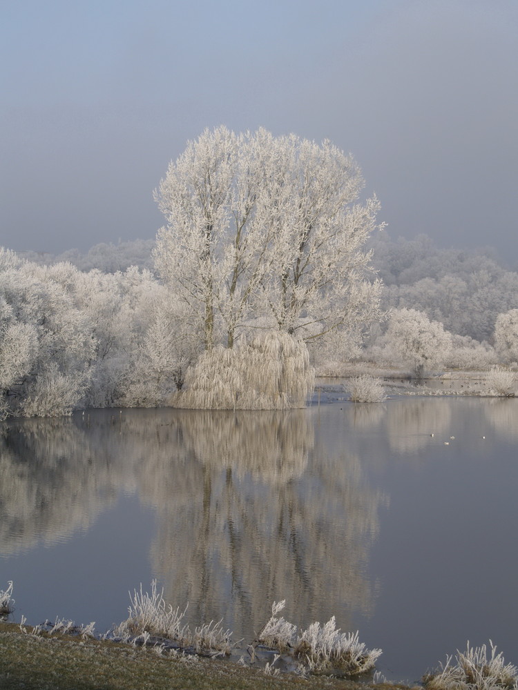 An der Elbe...