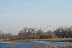 An der Elbe