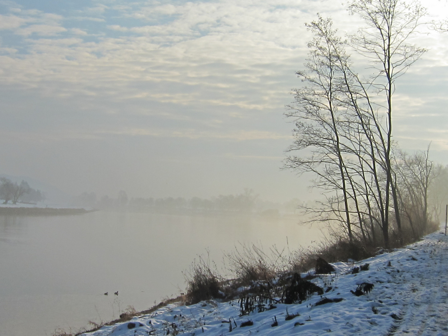 an der Elbe