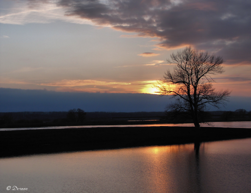 an der Elbe