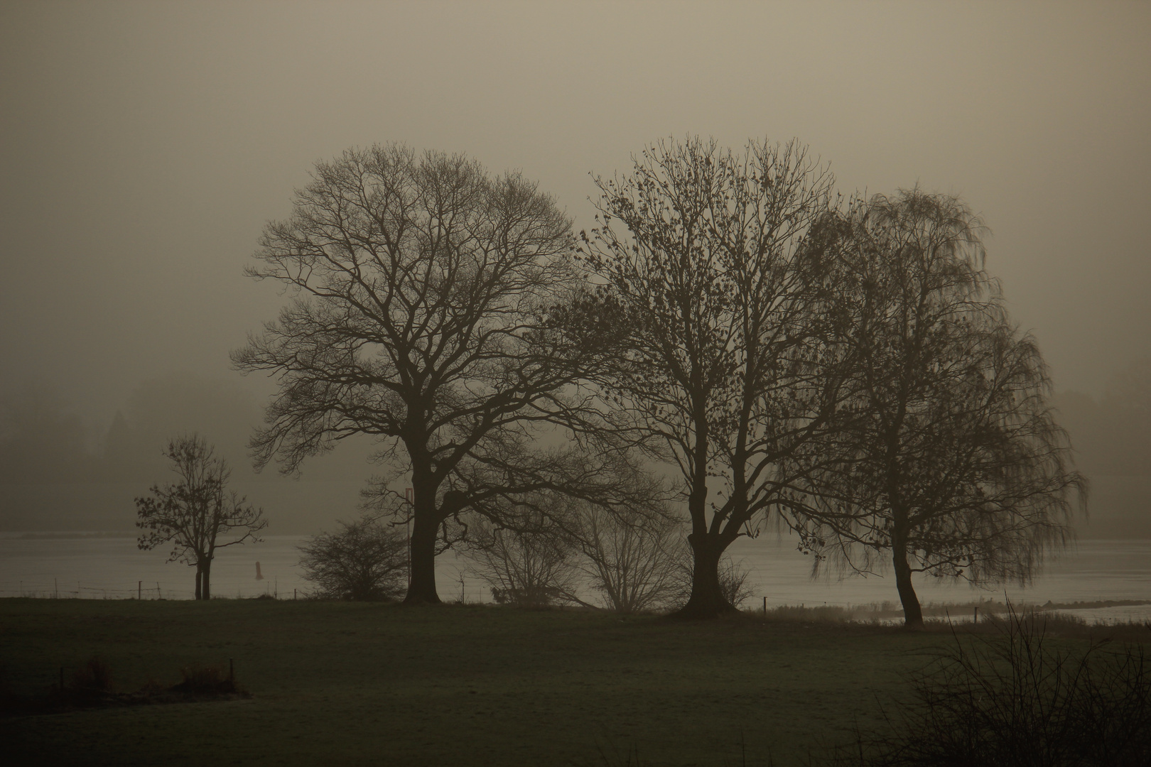 An der Elbe bei Altengamme