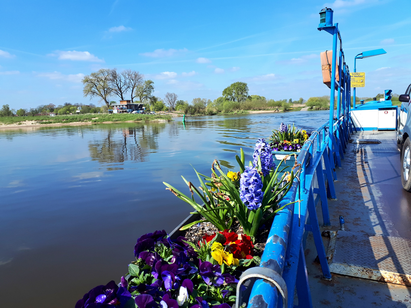 An der Elbe bei Bleckede