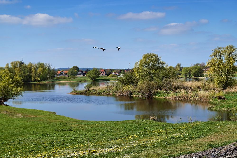 An der Elbe bei Bleckede