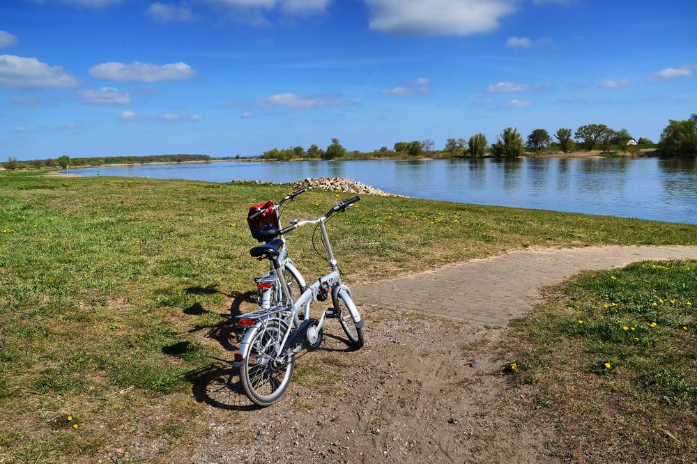 An der Elbe bei Bleckede