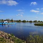 An der Elbe bei Bleckede