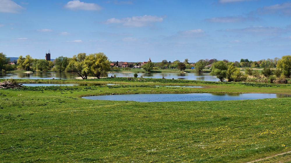 An der Elbe bei Bleckede