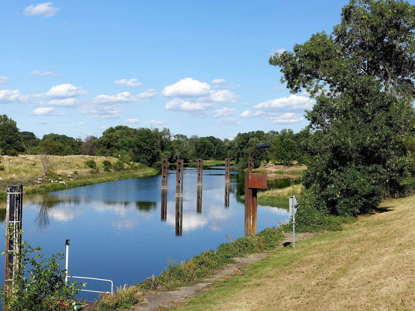 An der Elbe bei Dessau