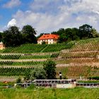 An der Elbe bei Dresden...