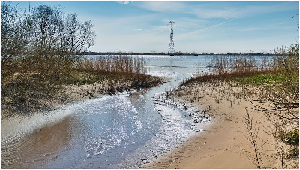 An der Elbe bei Hetlingen