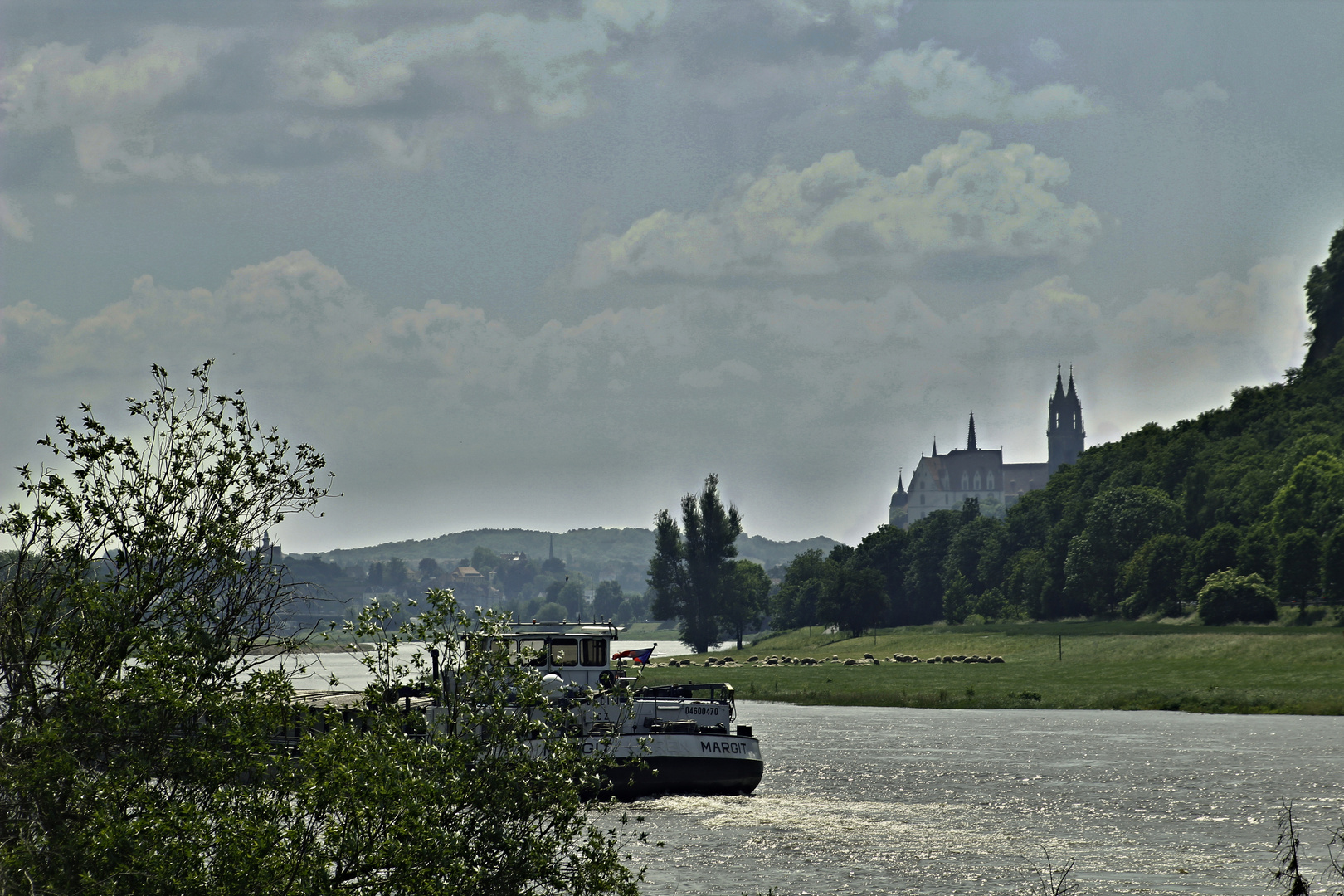 An der Elbe bei Meißen