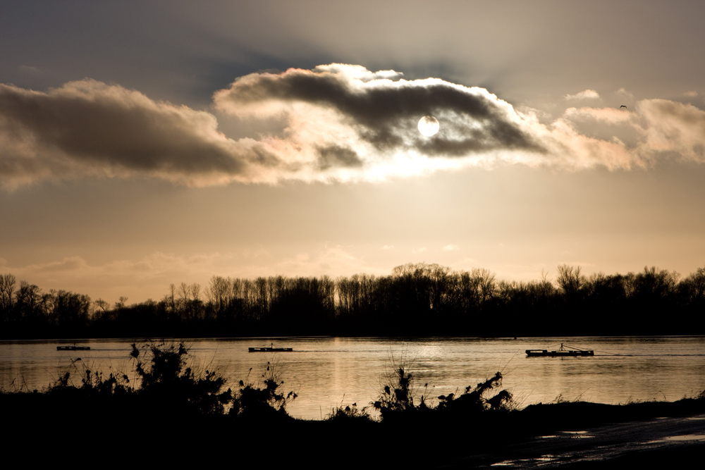 An der Elbe bei Sandau ...