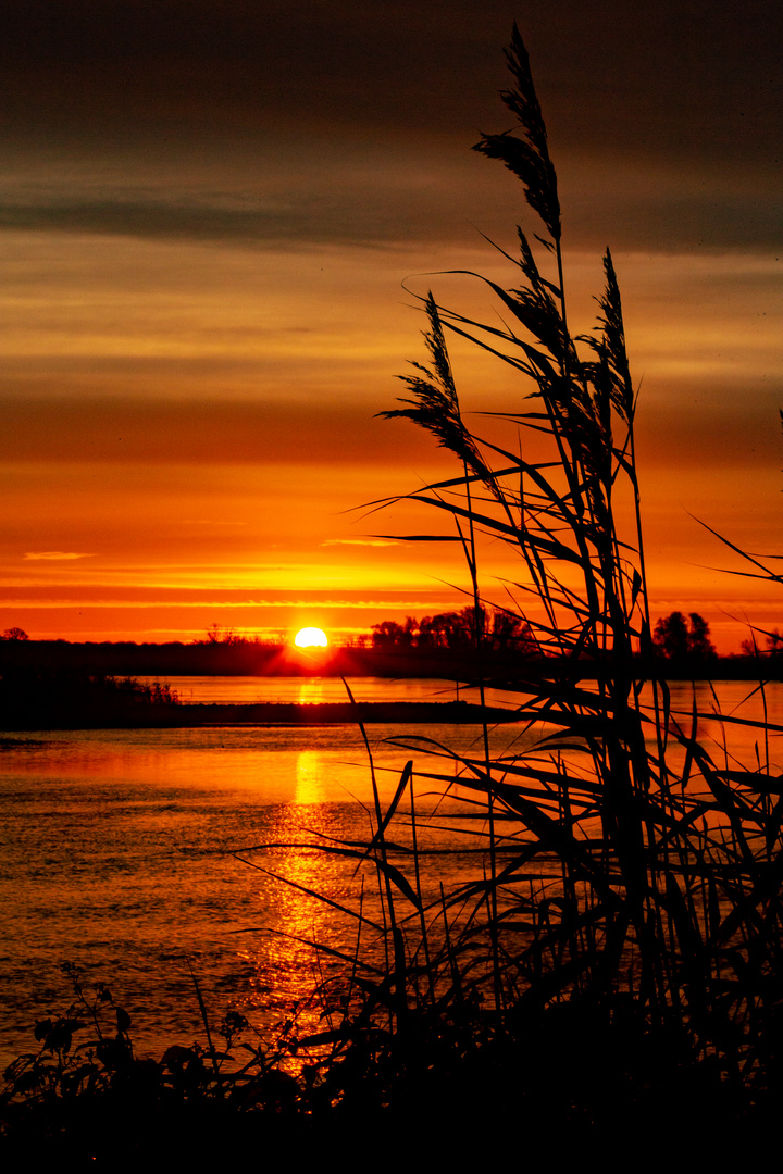 An der Elbe