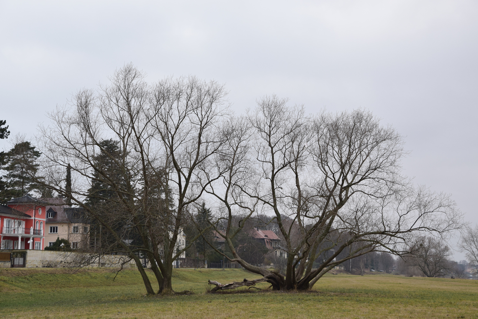 an der elbe 