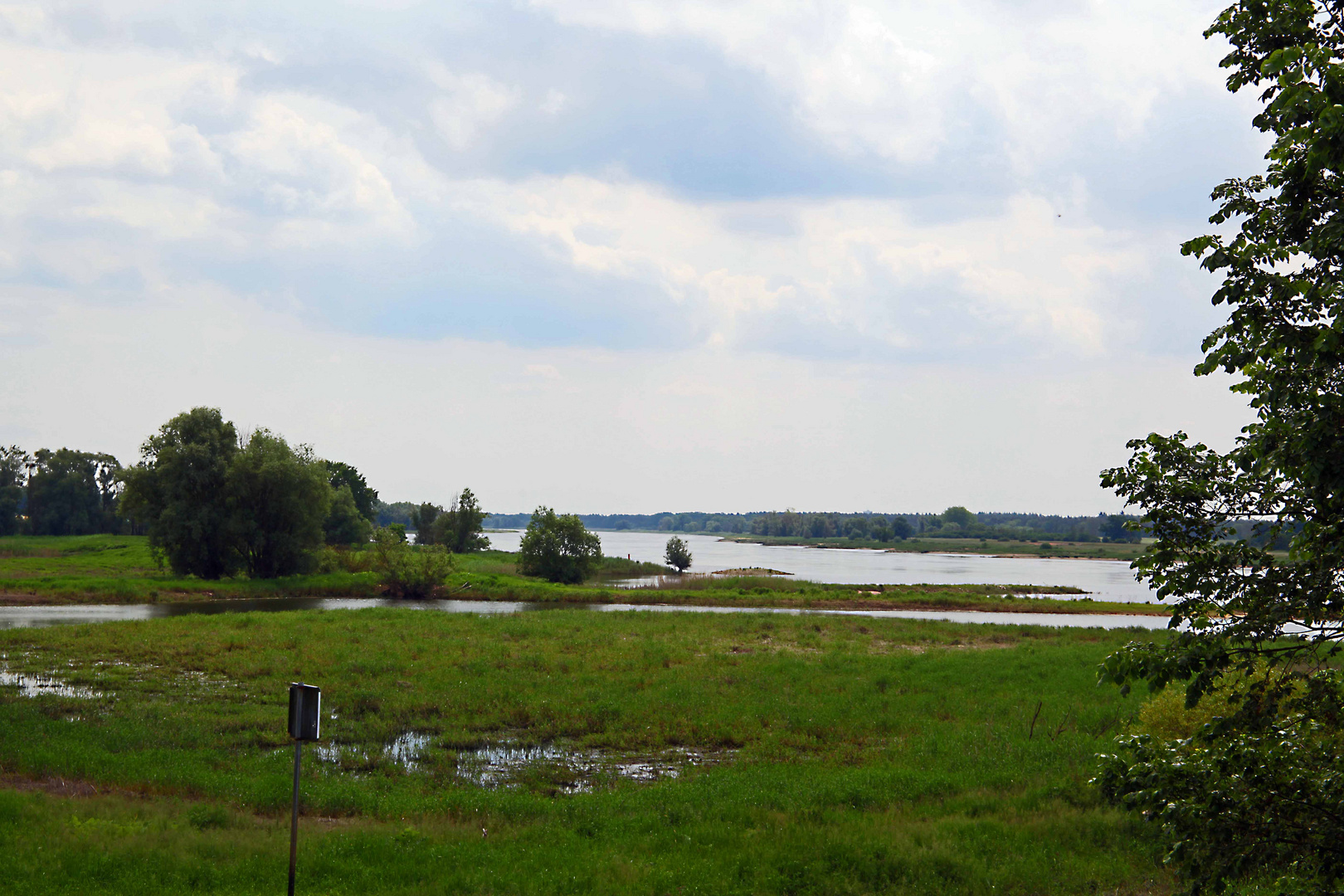 An der Elbe ein wunderschöner Naturschuzgebieht 