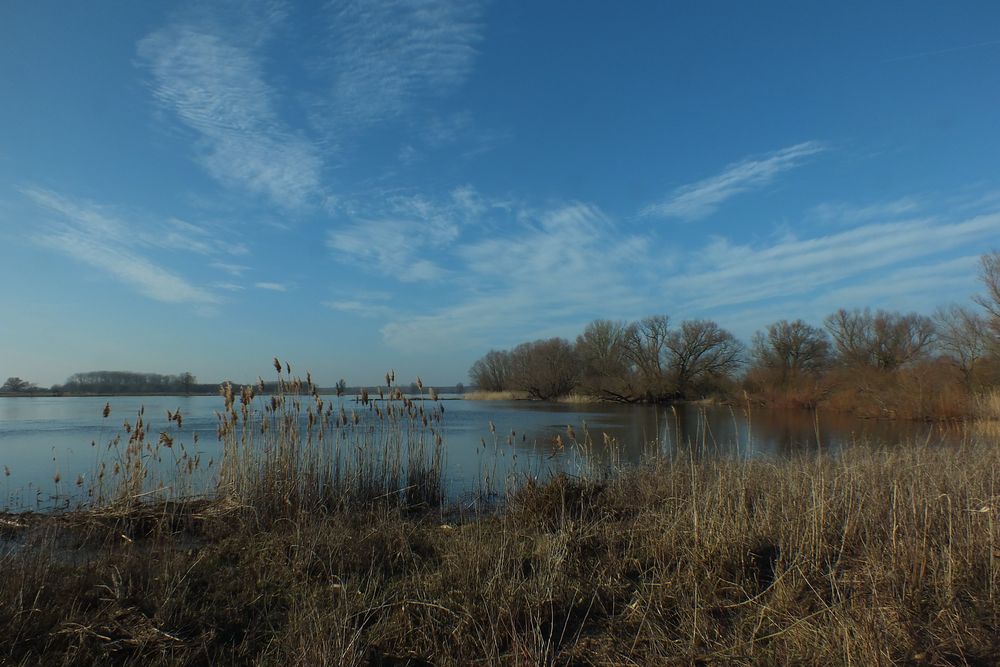 An der Elbe