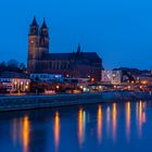 An der Elbe im Nieselregen