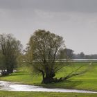 An der Elbe in Brandenburg