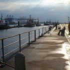 An der Elbe in Hamburg