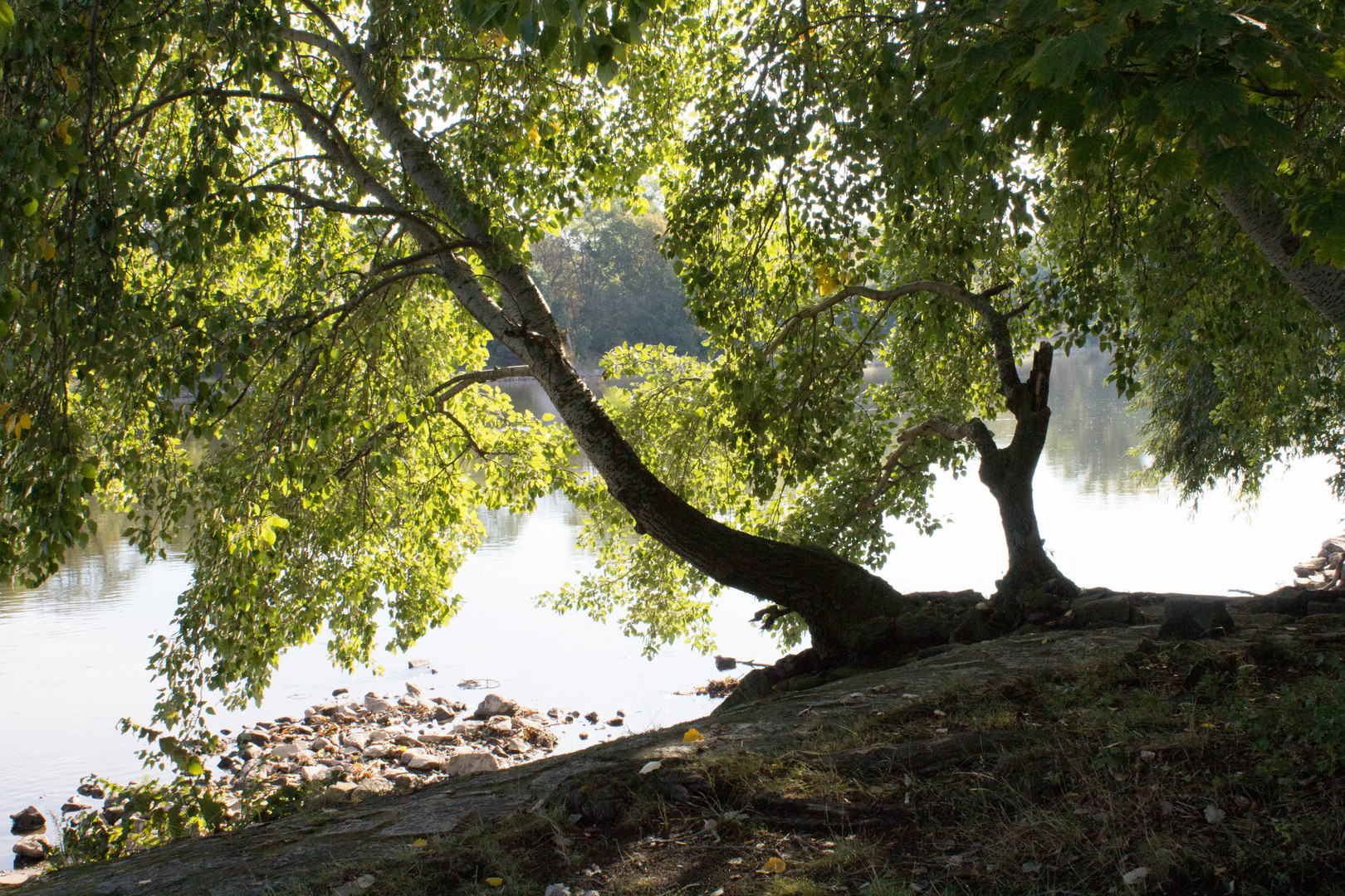 An der Elbe in Magdeburg