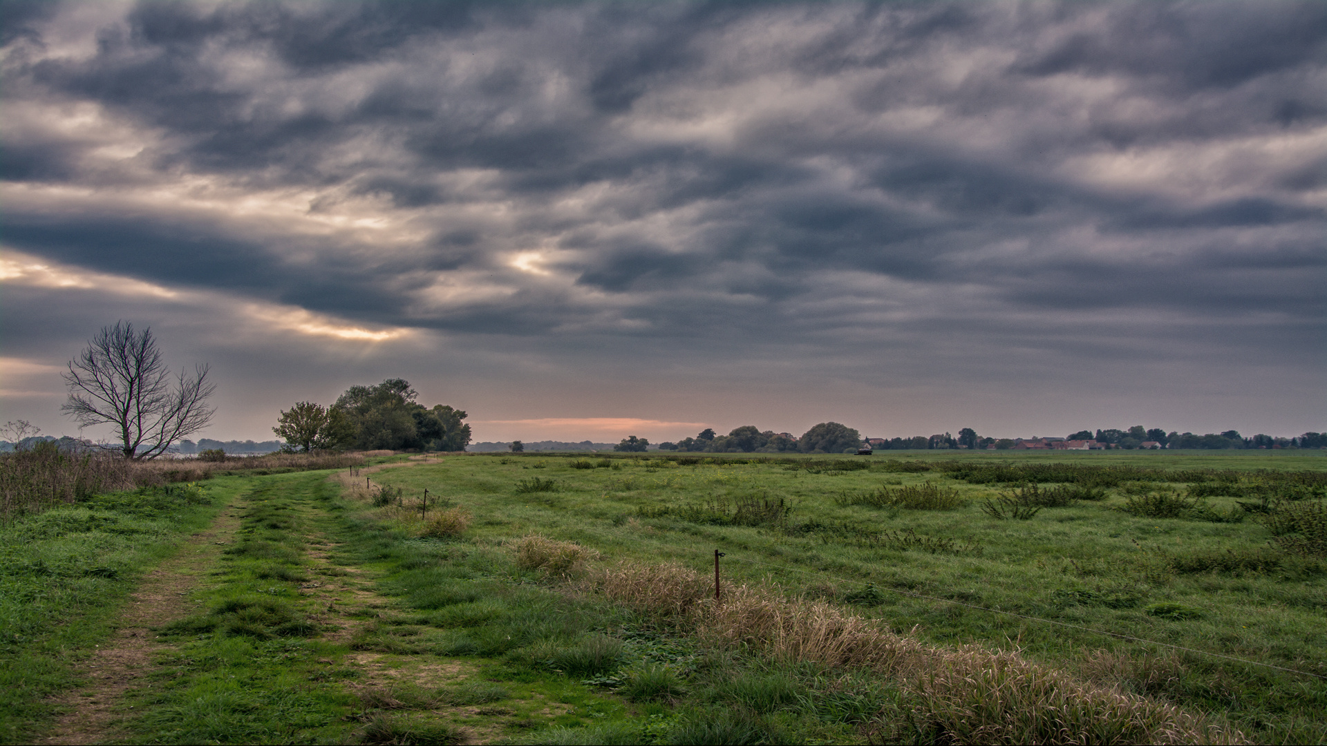 An der Elbe IV