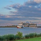 An der Elbe - warten auf die großen Schiffe... 