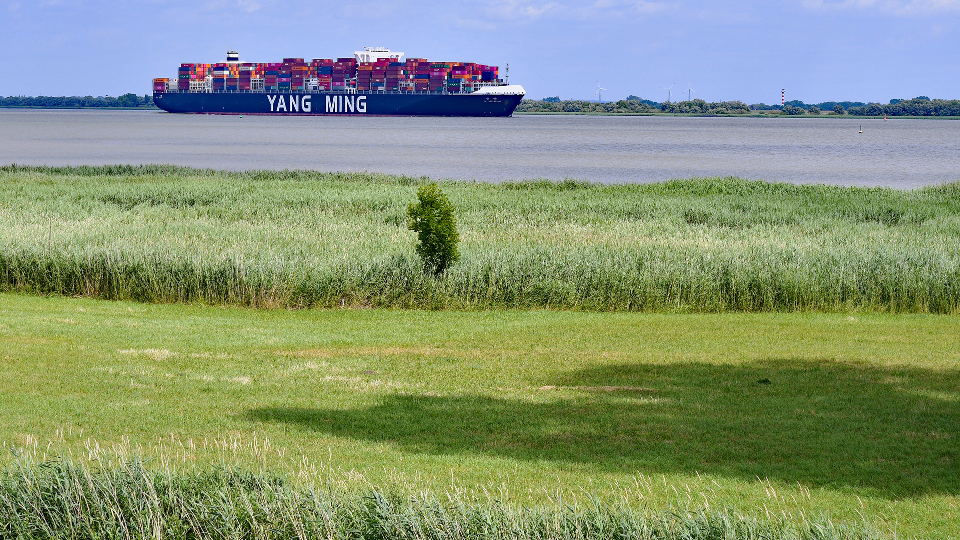 An der Elbe - YANG MING Containerschiff