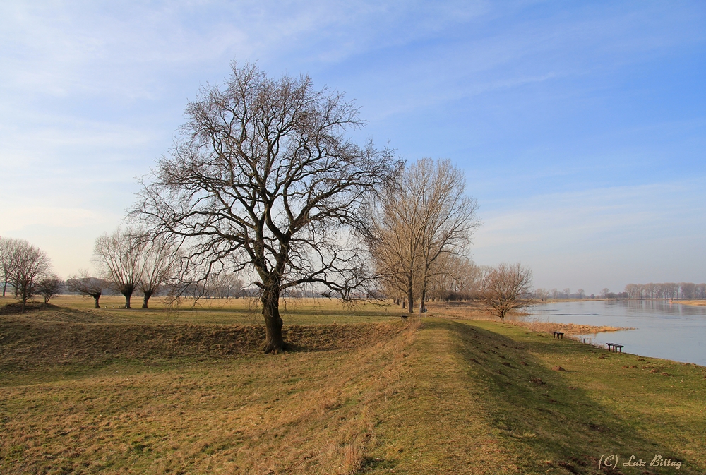 An der Elbe zwischen Sachsen und Sachsen-Anhalt