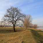 An der Elbe zwischen Sachsen und Sachsen-Anhalt