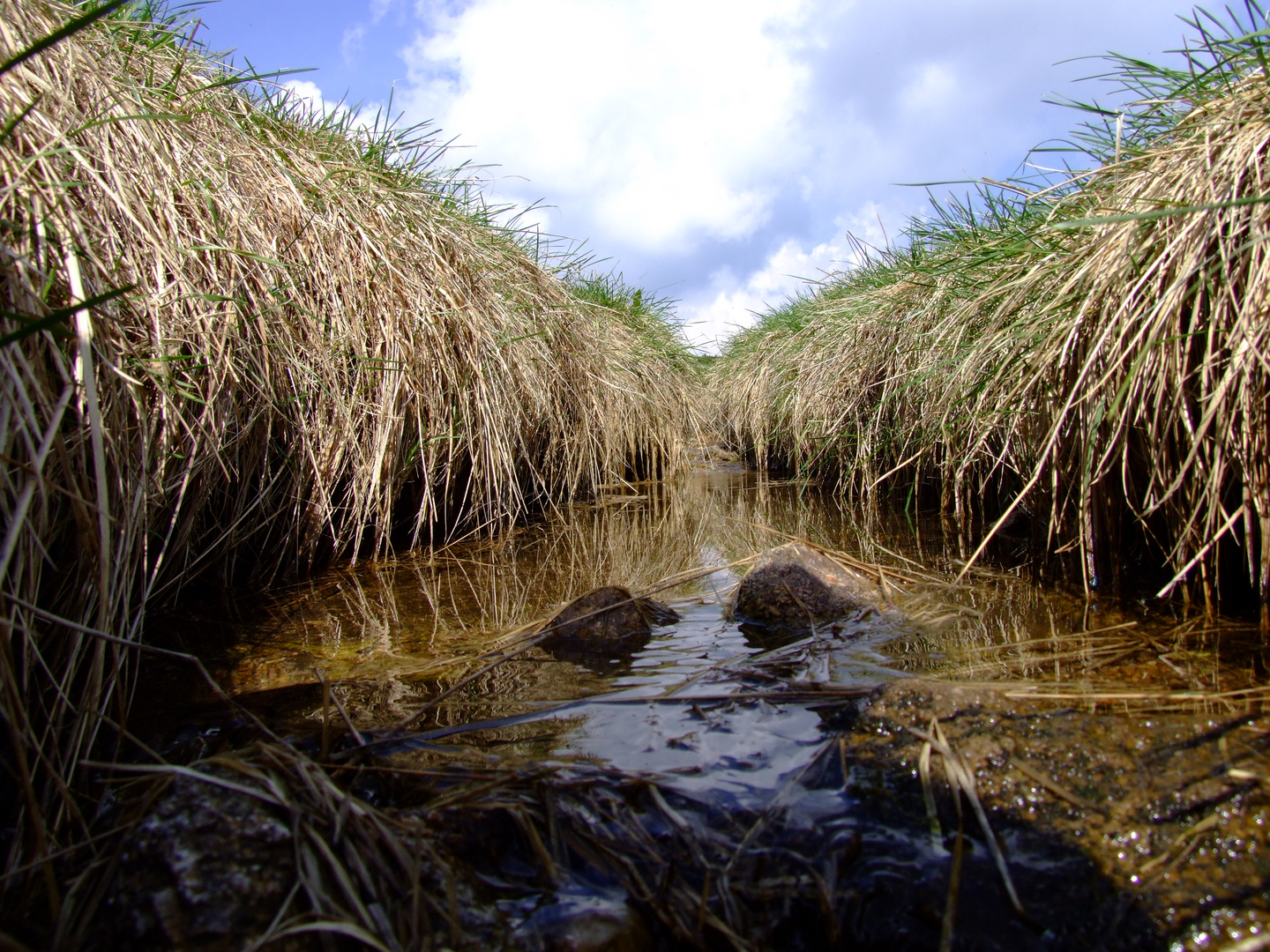 An der Elbquelle