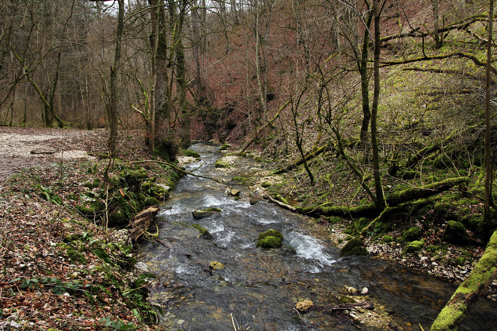 an der Elsach