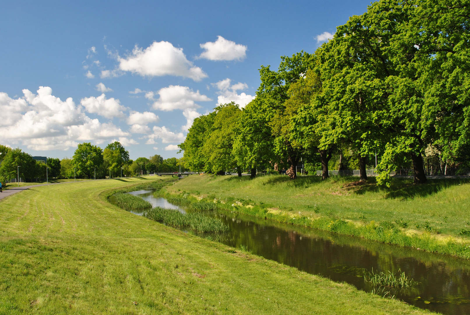 An der Elster ist Frühling.