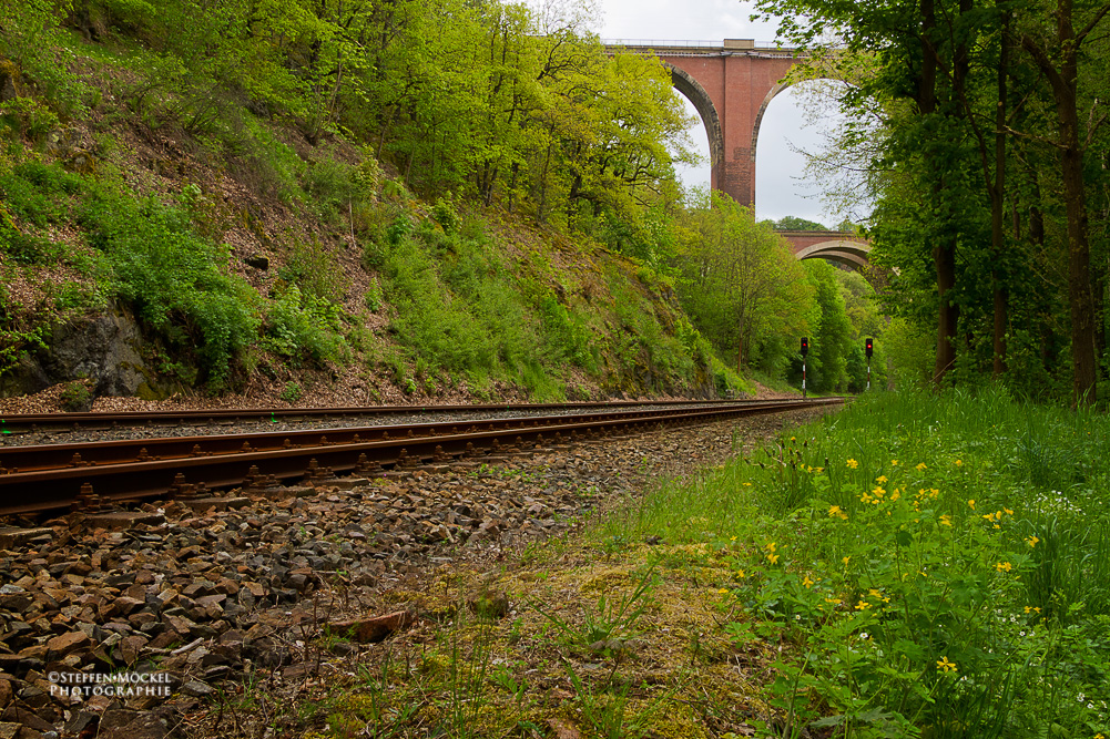 an der Elstertalbrücke unterwegs