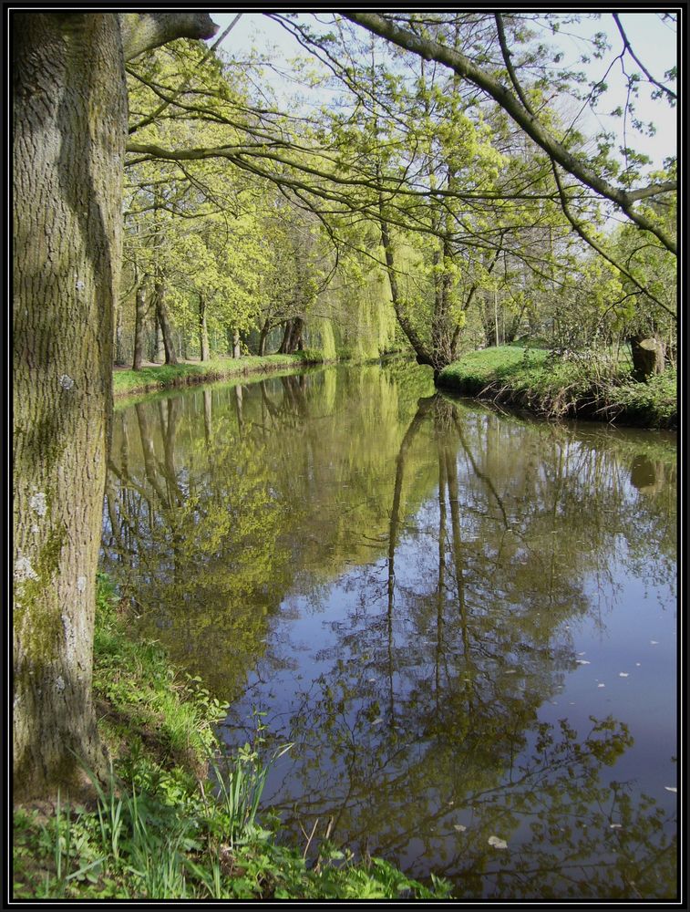 An der Ems ist Frühling