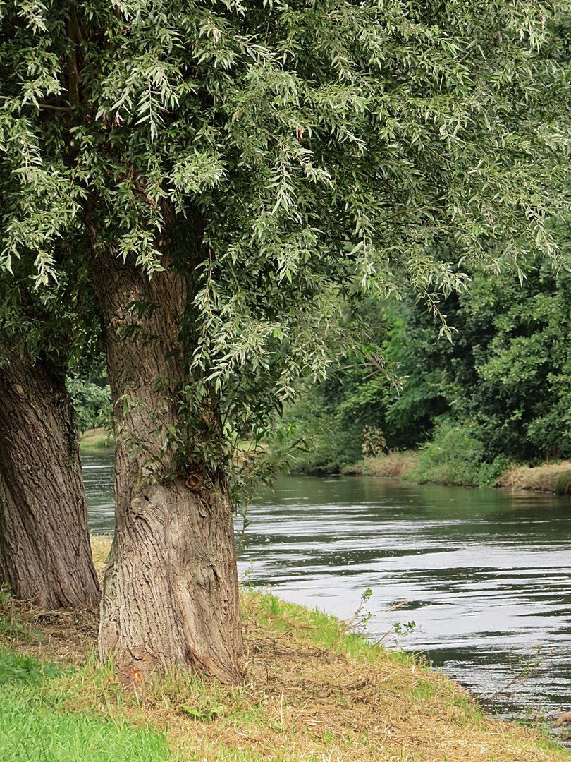 an der Erft unterwegs 