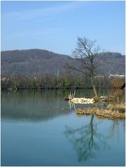 an der Ergolzmündung bei kaiseraugst ist noch alles im Winterschlaf