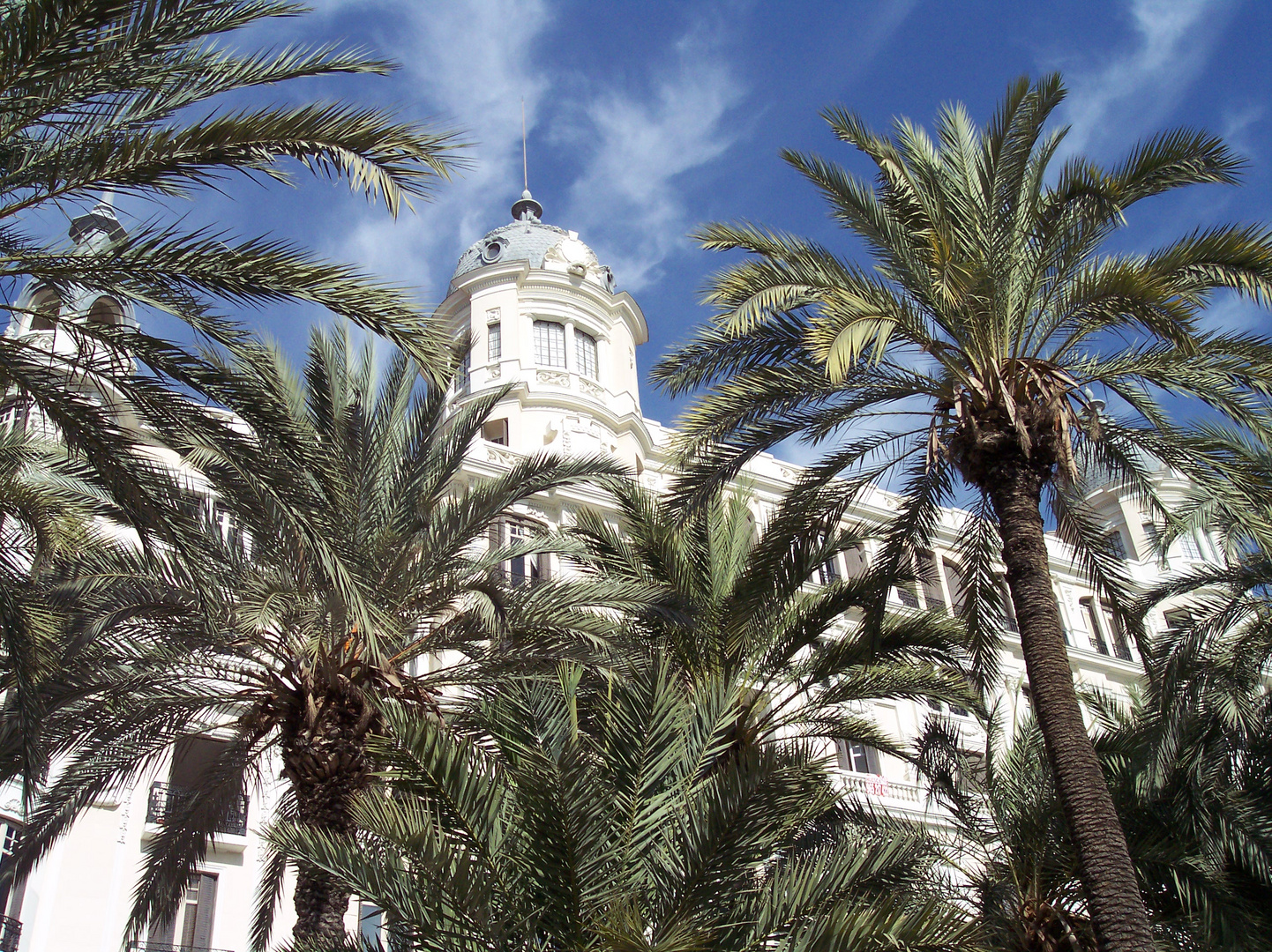 An der Explanada de Espana in Alicante