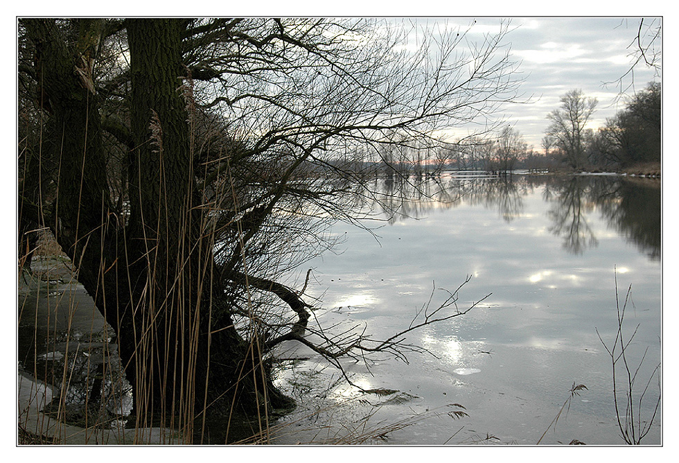 an der Fähre - Elbeseitenarm bei Havelberg